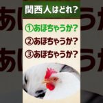 【関西人はどれ?】ほんまですか?/あほちゃうか #関西弁 #イントネーション #クイズ #エセ関西弁 #アクセント #shorts vol.2