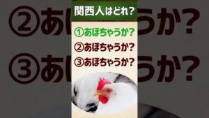 【関西人はどれ？】ほんまですか？/あほちゃうか #関西弁 #イントネーション #クイズ #エセ関西弁 #アクセント #shorts vol.2