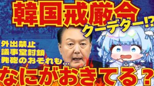 【LIVE】韓国戒厳令!尹錫悦大統領「非常戒厳宣布」国会前同時視聴LIVE