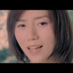 柴田淳 片想い