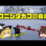 コニシタカコの自○【ゆっくり都市伝説紹介】