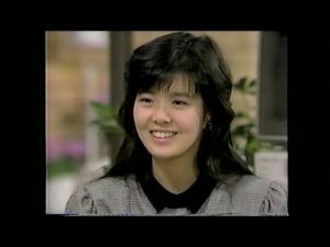 南野陽子　さんまのまんま
