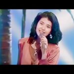 夏のおバカさん   南野陽子