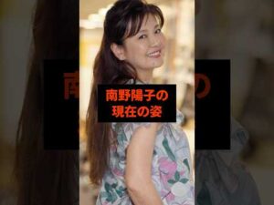 南野陽子の現在の姿#芸能人