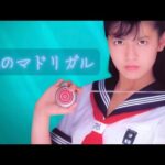 風のマドリガル　南野陽子